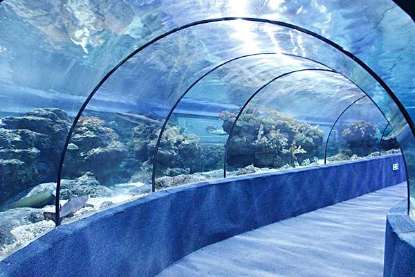 Topsen acetic silicone sealant 7132 applied in an aquarium setting.